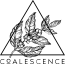 Coalescence logo graphic with triangle and botanical illustration
